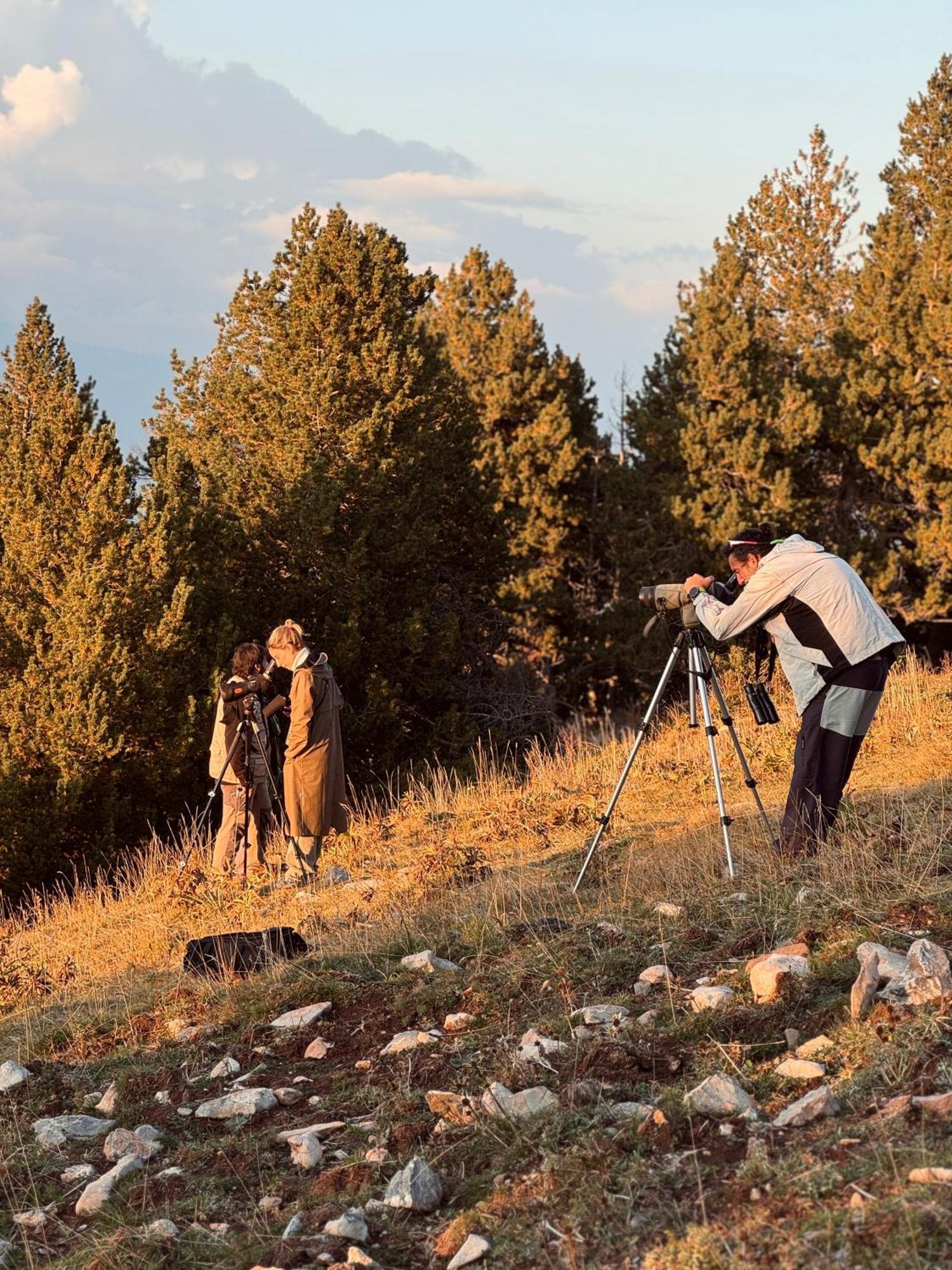 Basecamps Cerdanya Hotel Caixans Ngoại thất bức ảnh